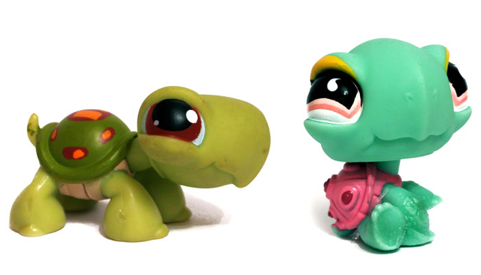 turtles.jpg