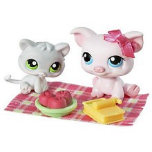 51754 Pot Belly Pig & Kitten1.jpg