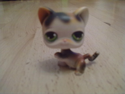 08052011290.jpg